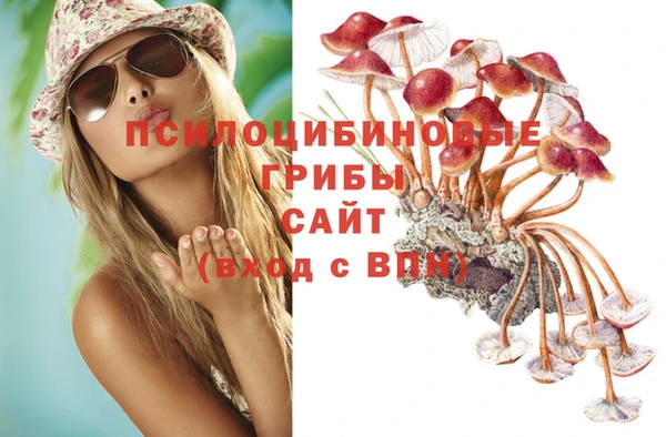 молекула духа Майский