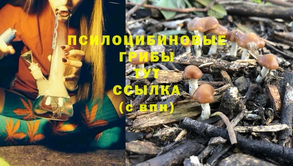 каннабис Магадан