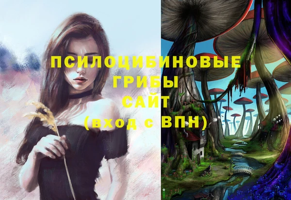 метадон Магас