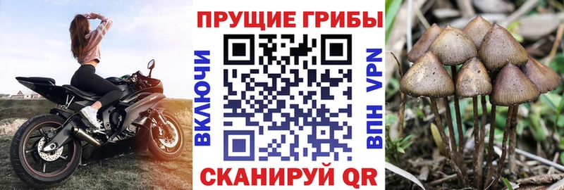 Галлюциногенные грибы Magic Shrooms  Зеленокумск 
