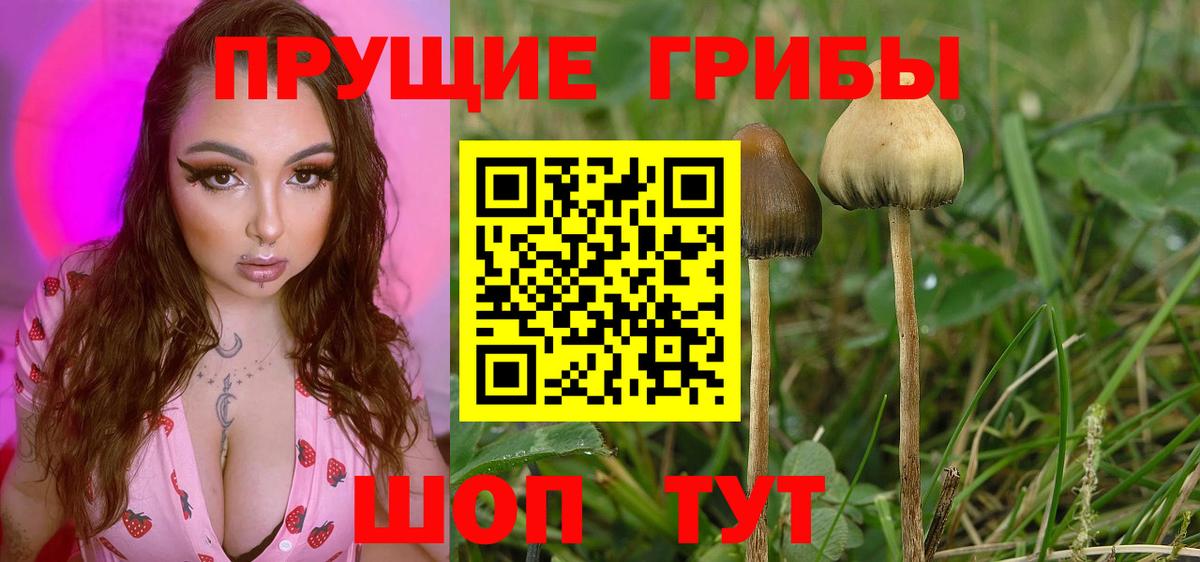 Псилоцибиновые грибы мухоморы  Вход с VPN  Зеленокумск 
