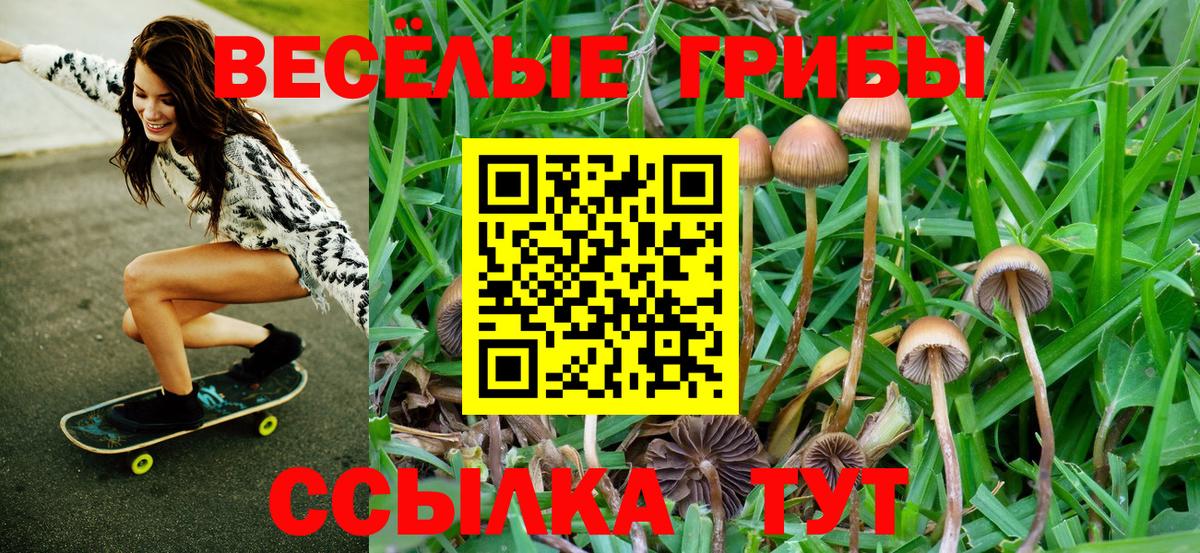 Галлюциногенные грибы MAGIC MUSHROOMS Зеленокумск